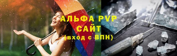 стафф Гусев
