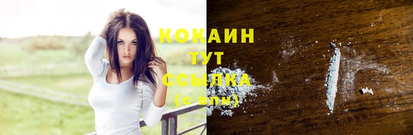 jwh Гусь-Хрустальный
