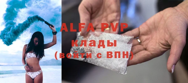 стафф Гусев