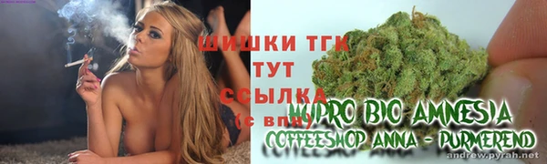 jwh Гусь-Хрустальный