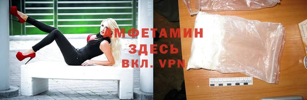 стафф Гусев