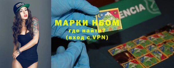 стафф Гусев