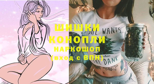 jwh Гусь-Хрустальный