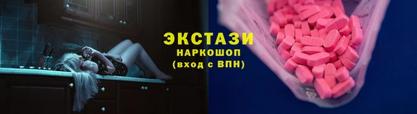 стафф Гусев