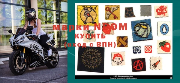 стафф Гусев