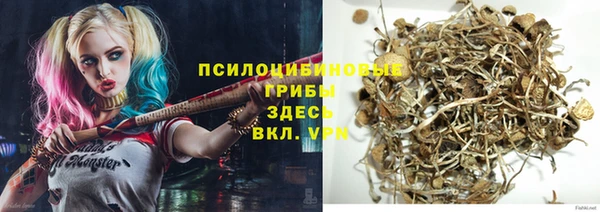 стафф Гусев