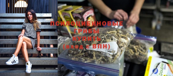 jwh Гусь-Хрустальный