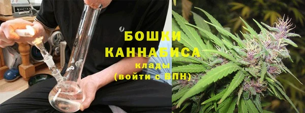 стафф Гусев