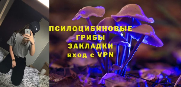 стафф Гусев
