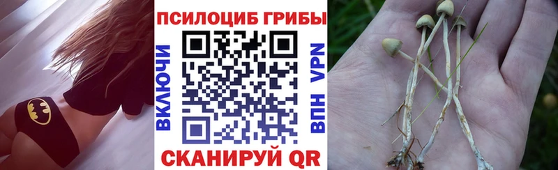 Галлюциногенные грибы Psilocybe  Купить где  Волжск 